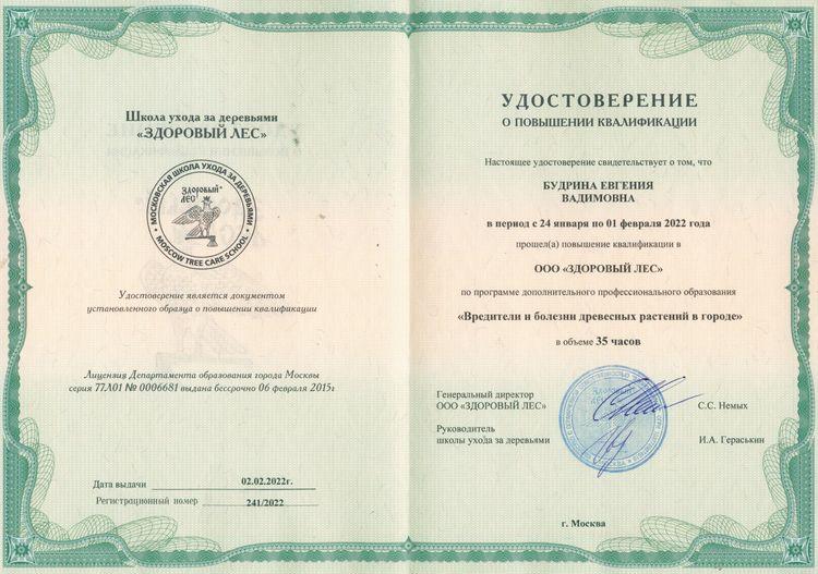 2022-здоровый-лес-вредители-деревьев_c.jpg
